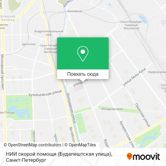 Карта НИИ скорой помощи (Будапештская улица)