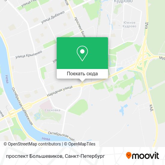 Карта проспект Большевиков