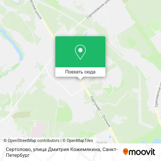 Карта Сертолово, улица Дмитрия Кожемякина