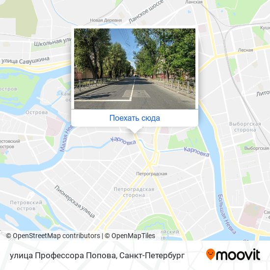 Карта улица Профессора Попова