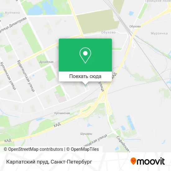 Карта Карпатский пруд