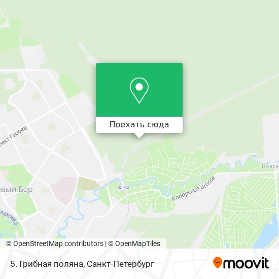 Карта 5. Грибная поляна