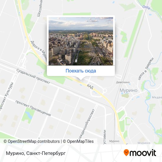 Карта Мурино