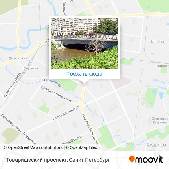 Товарищеский проспект карта