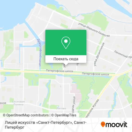 Карта Лицей искусств «Санкт-Петербург»