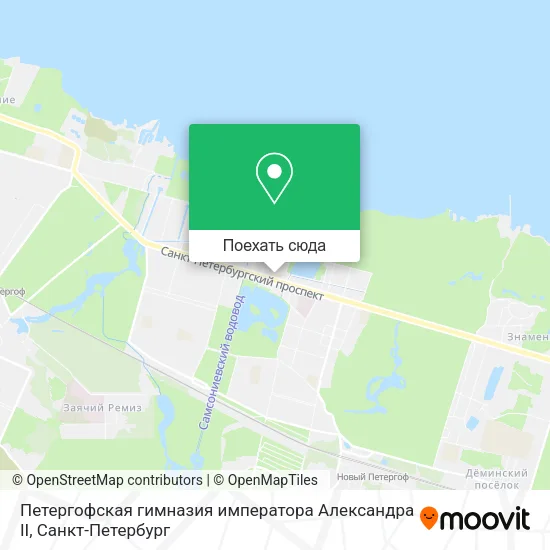 Карта Петергофская гимназия императора Александра II