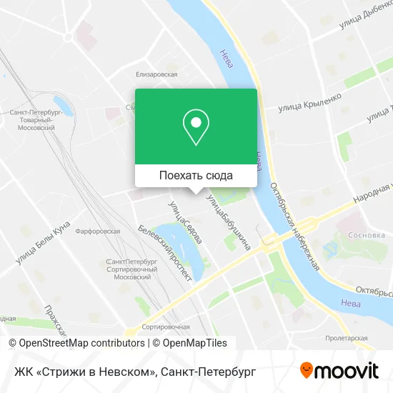 Карта ЖК «Стрижи в Невском»