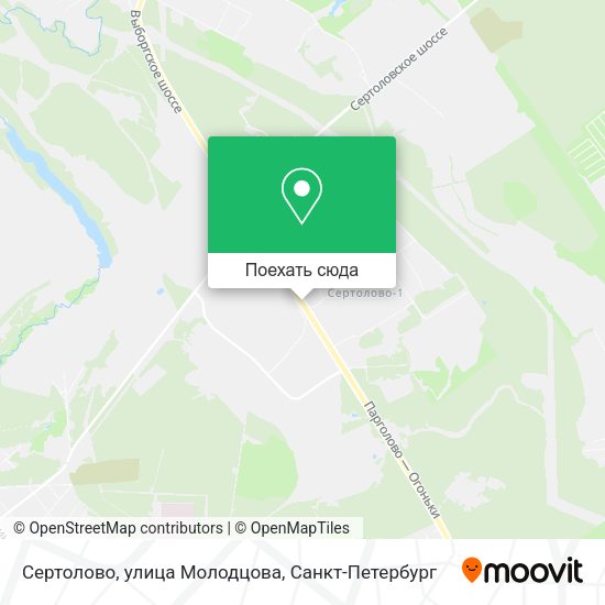 Карта Сертолово, улица Молодцова
