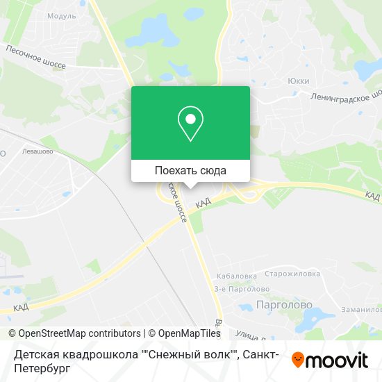 Карта Детская квадрошкола ""Снежный волк""