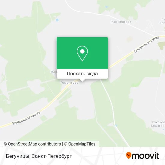 Карта Бегуницы