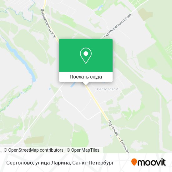 Карта Сертолово, улица Ларина