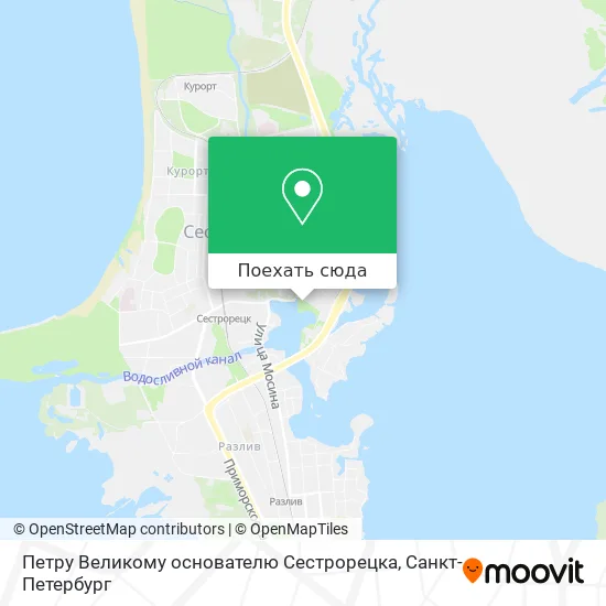 Карта Петру Великому основателю Сестрорецка