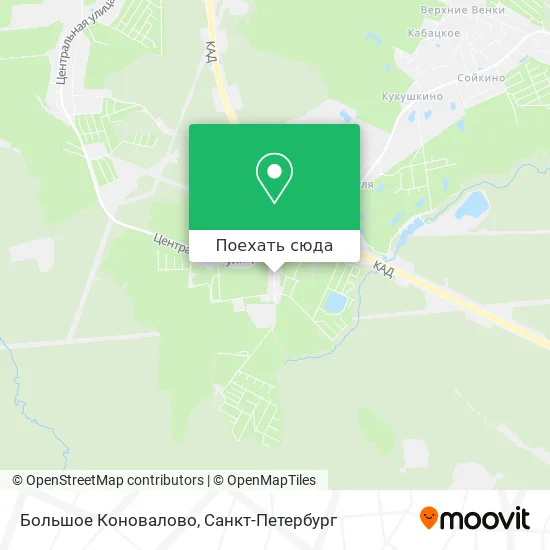 Карта Большое Коновалово
