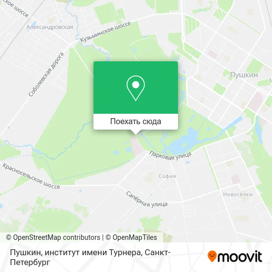 Карта Пушкин, институт имени Турнера