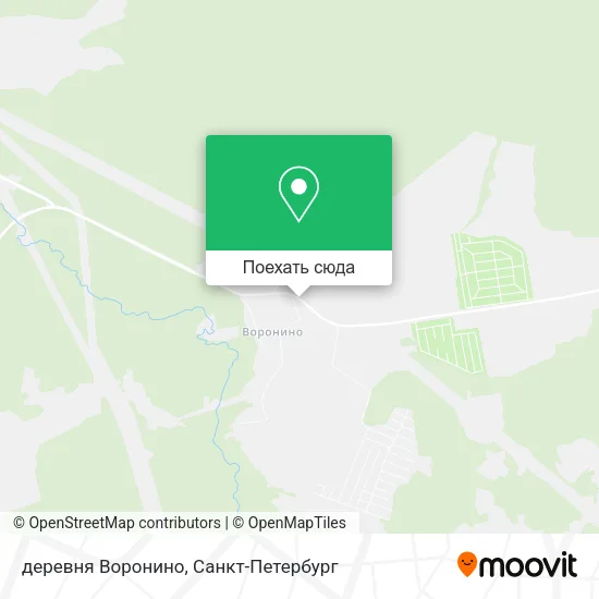 Карта деревня Воронино