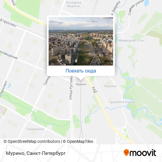 Карта Мурино