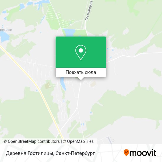 Карта Деревня Гостилицы