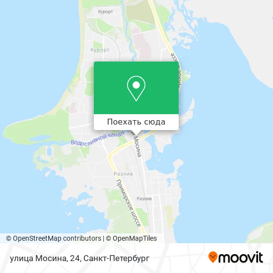 Карта улица Мосина, 24