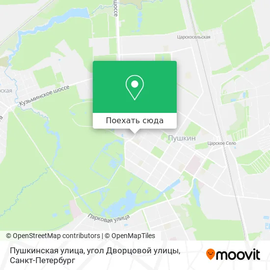 Карта Пушкинская улица, угол Дворцовой улицы