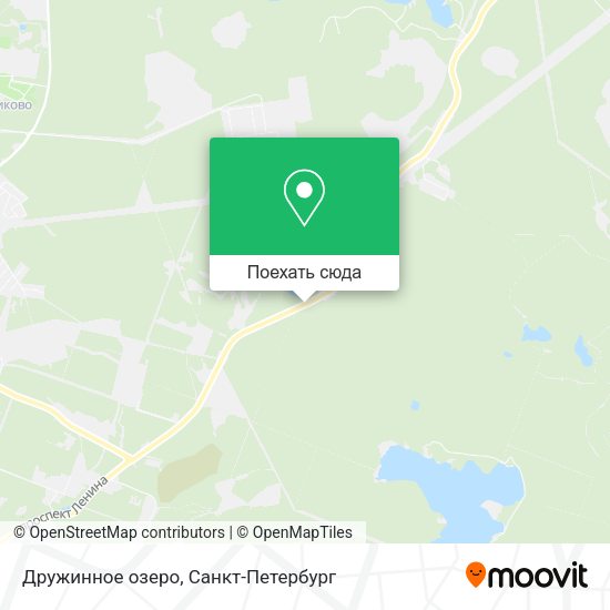 Карта Дружинное озеро