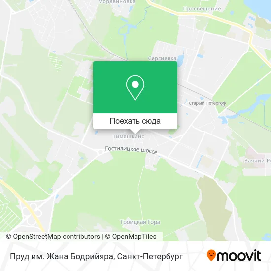 Карта Пруд им. Жана Бодрийяра