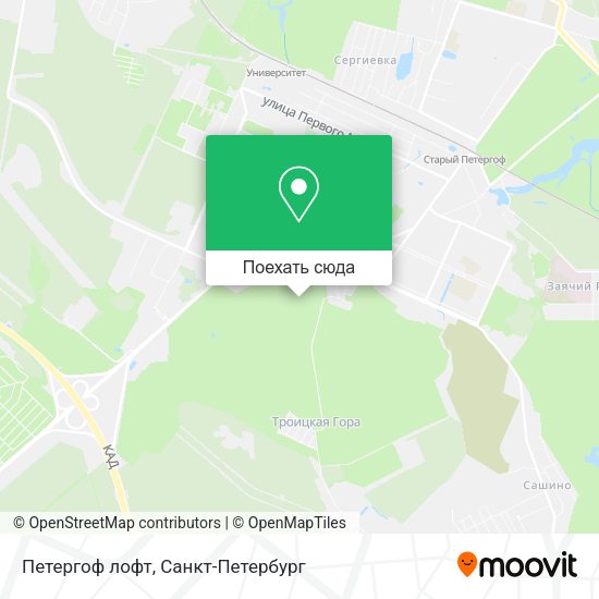 Карта Петергоф лофт