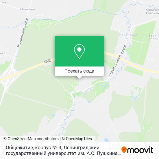 Лгу им пушкина санкт петербург отзывы. Лгу им пушкина столовая. лгу им пушкина общежитие.