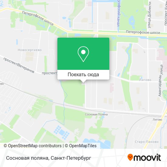 Карта Сосновая поляна