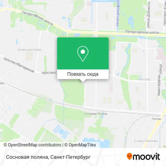 Карта Сосновая поляна