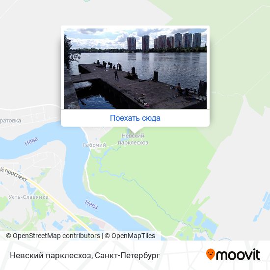 Карта Невский парклесхоз