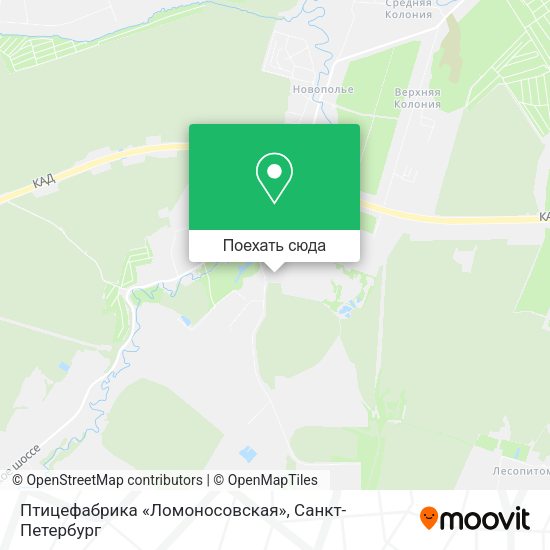 Карта Птицефабрика «Ломоносовская»