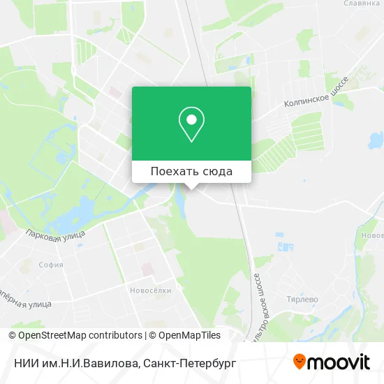Карта НИИ им.Н.И.Вавилова