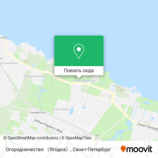 Карта Огородничество 《Ягодка》
