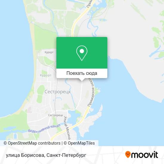 Карта улица Борисова