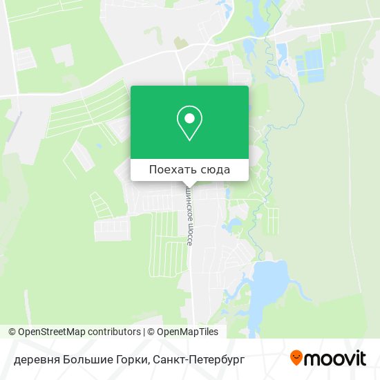 Карта деревня Большие Горки