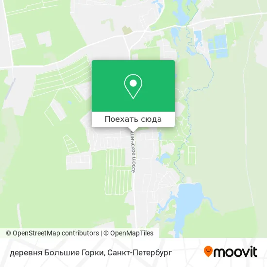 Карта деревня Большие Горки