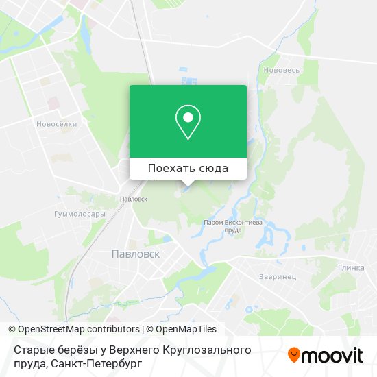 Карта Старые берёзы у Верхнего Круглозального пруда