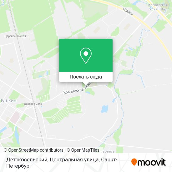 Карта Детскосельский, Центральная улица