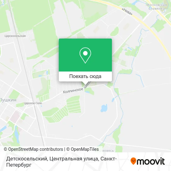 Карта Детскосельский, Центральная улица