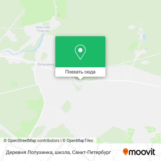 Карта Деревня Лопухинка, школа