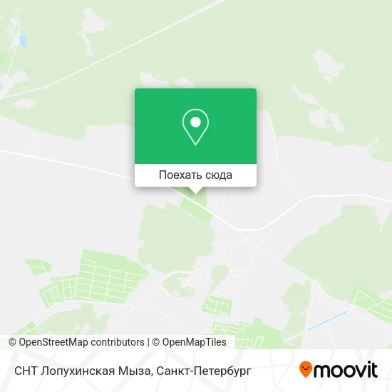 Карта СНТ Лопухинская Мыза