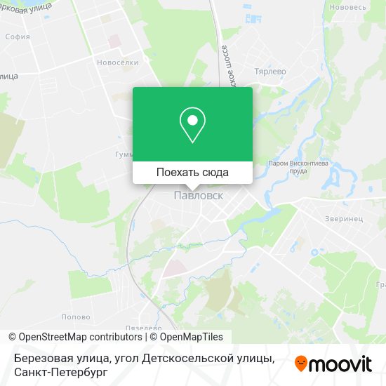 Карта Березовая улица, угол Детскосельской улицы
