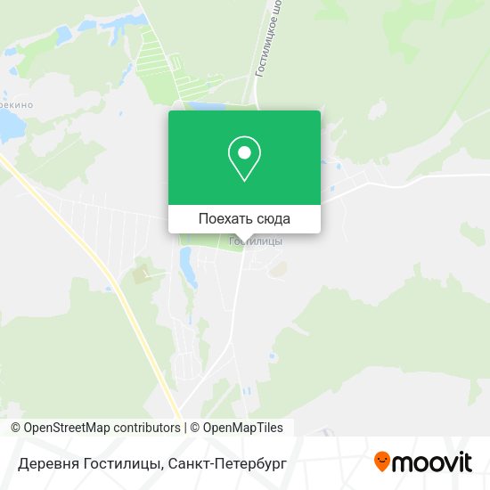 Карта Деревня Гостилицы