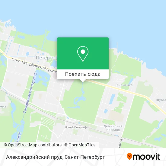 Карта Александрийский пруд