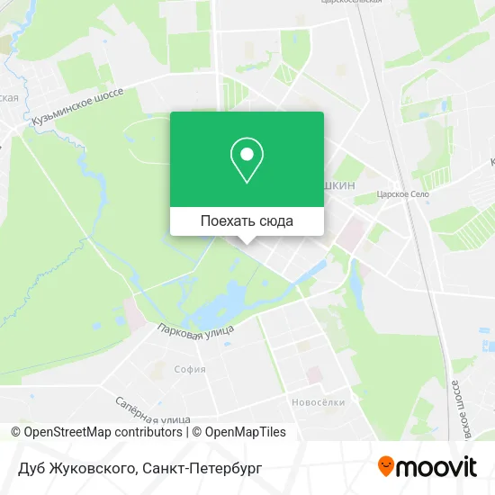 Карта Дуб Жуковского