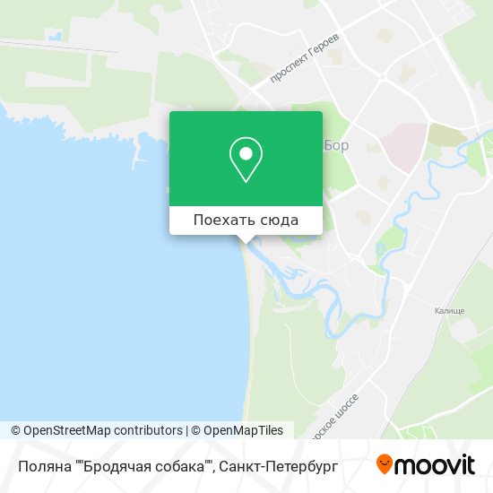 Карта Поляна ""Бродячая собака""