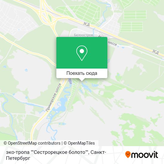 Карта эко-тропа ""Сестрорецкое болото""
