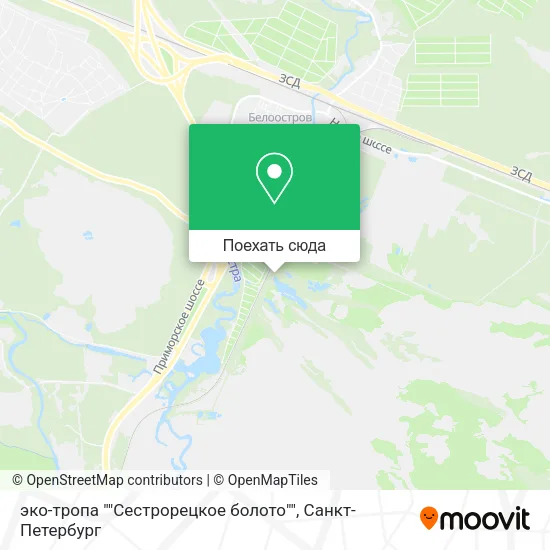 Карта эко-тропа ""Сестрорецкое болото""