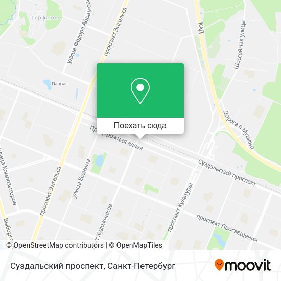 Карта Суздальский проспект