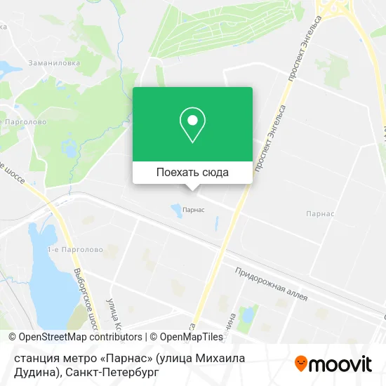 Карта станция метро «Парнас» (улица Михаила Дудина)